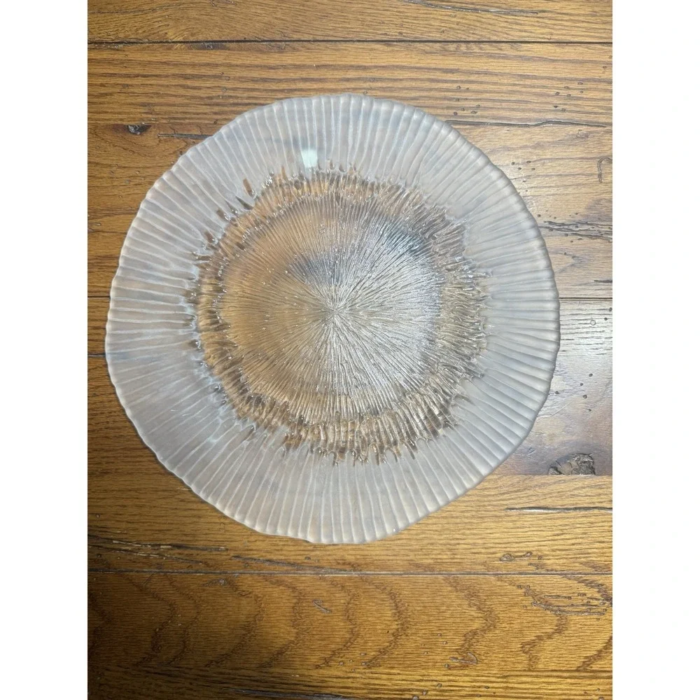 House Of Lloyd Frosted Dinner‎ Plate 12 Inch Vintage Made in Poland VHTF NOS